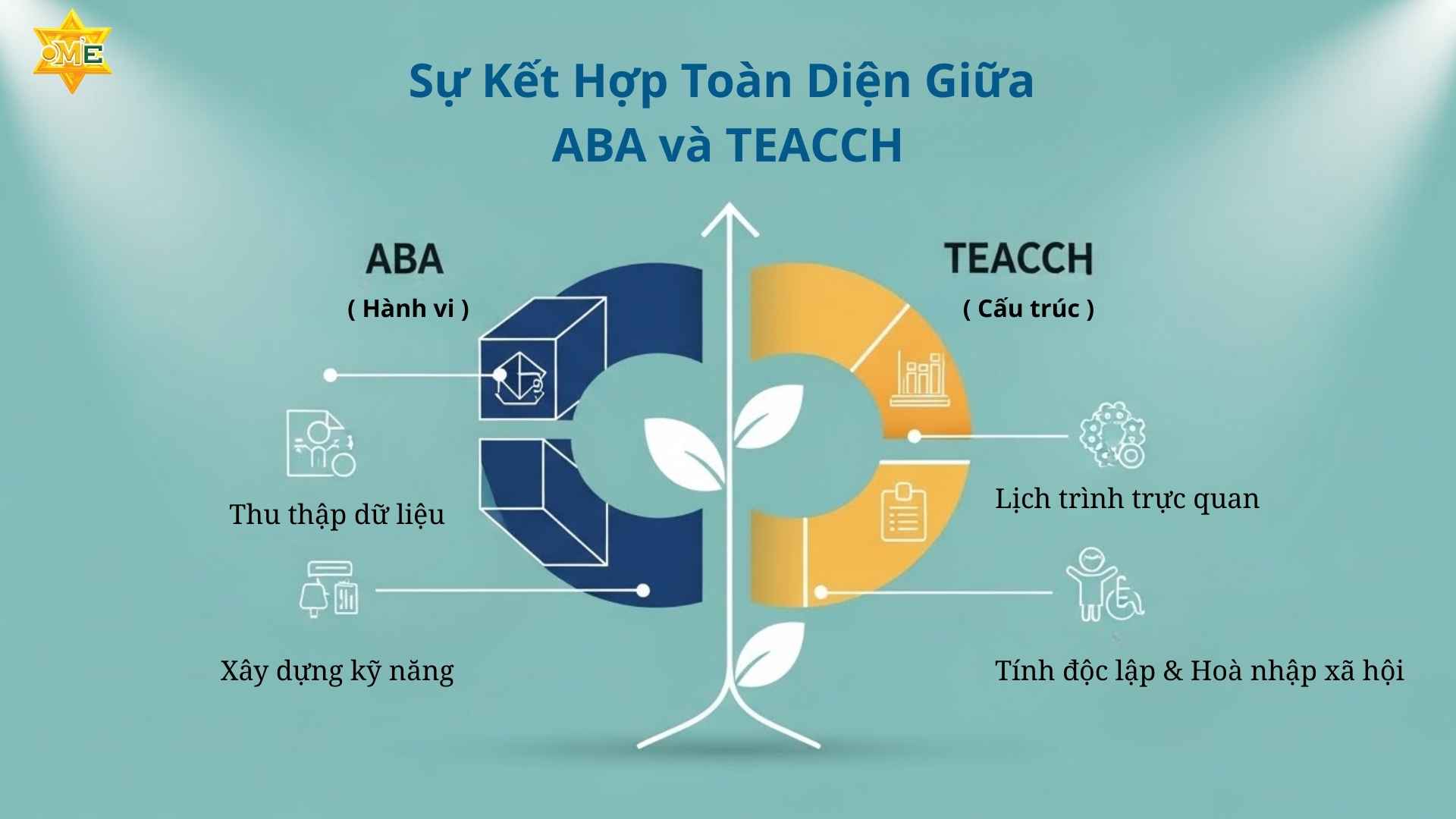 Giáo Dục Đặc Biệt Học Những Gì
