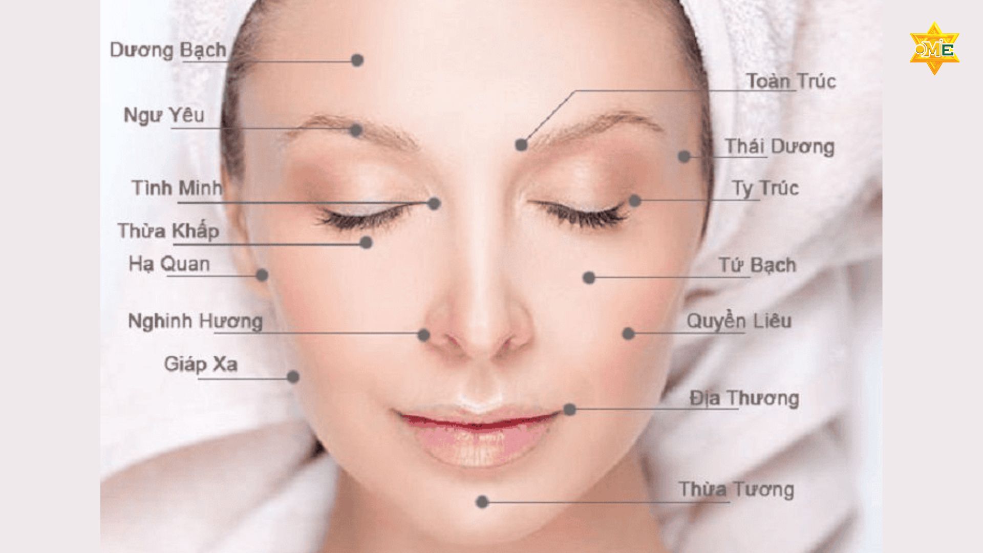 Tìm Hiểu Các Huyệt Trên Mặt Và Tác Dụng Của Chúng
