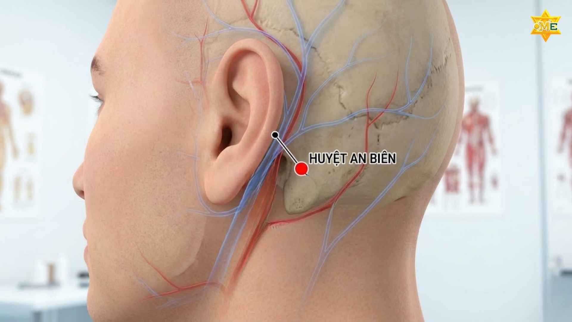 Cách xác định huyệt An Biên chuẩn xác