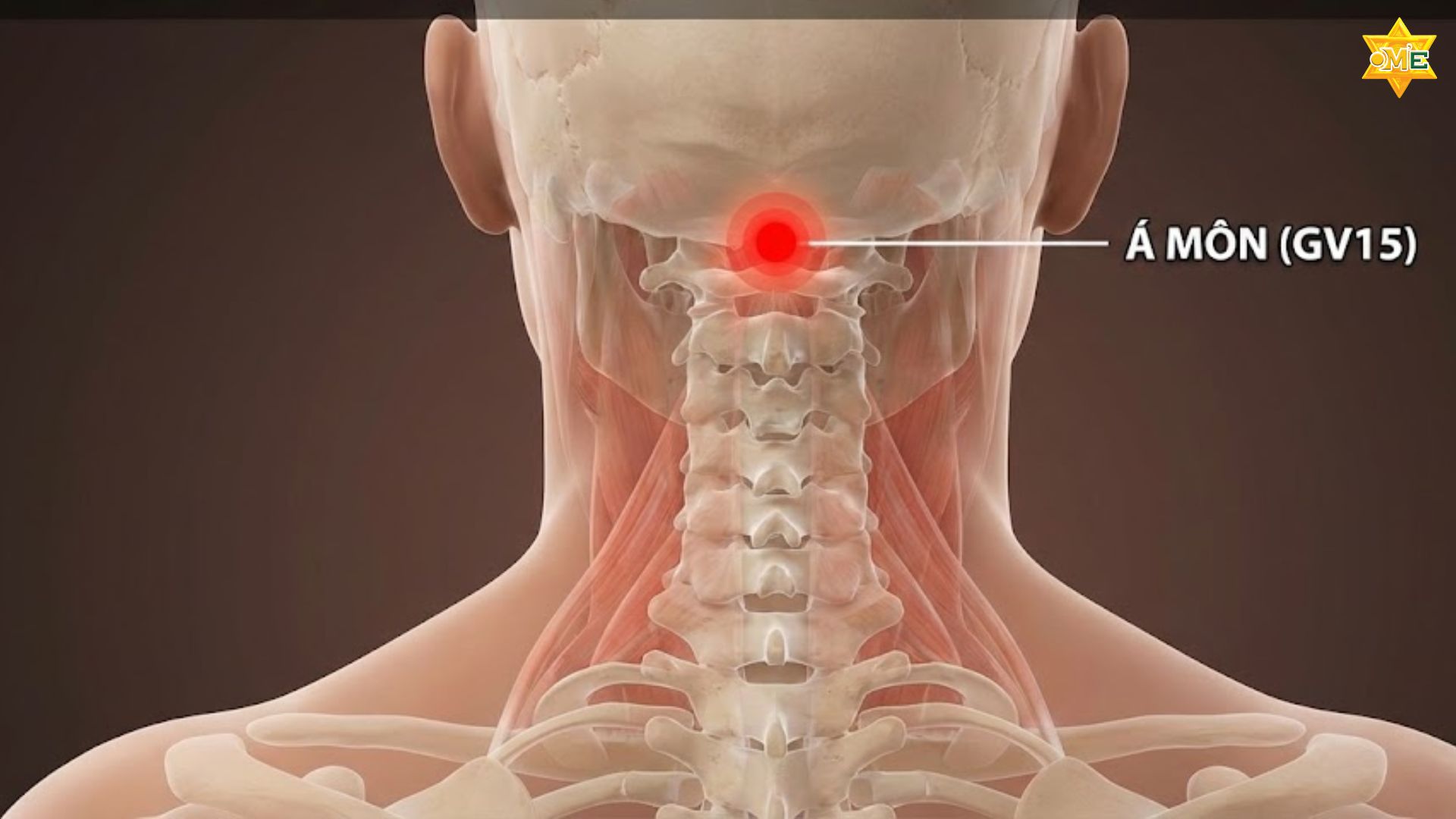 Cách xác định huyệt á môn chuẩn xác