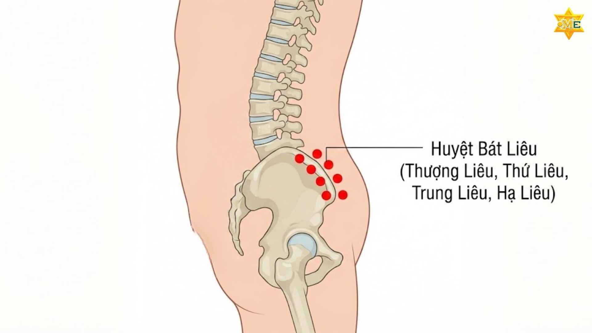 Cách xác định huyệt Bát Liêu chuẩn xác