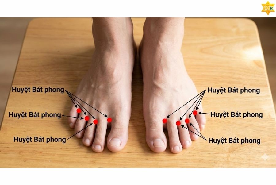 Công dụng của huyệt Bát phong