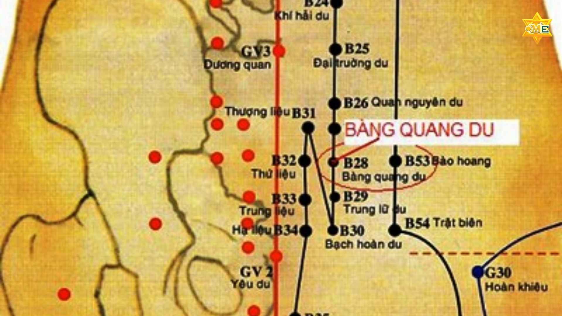 Cách xác định huyệt Bàng Quang Du