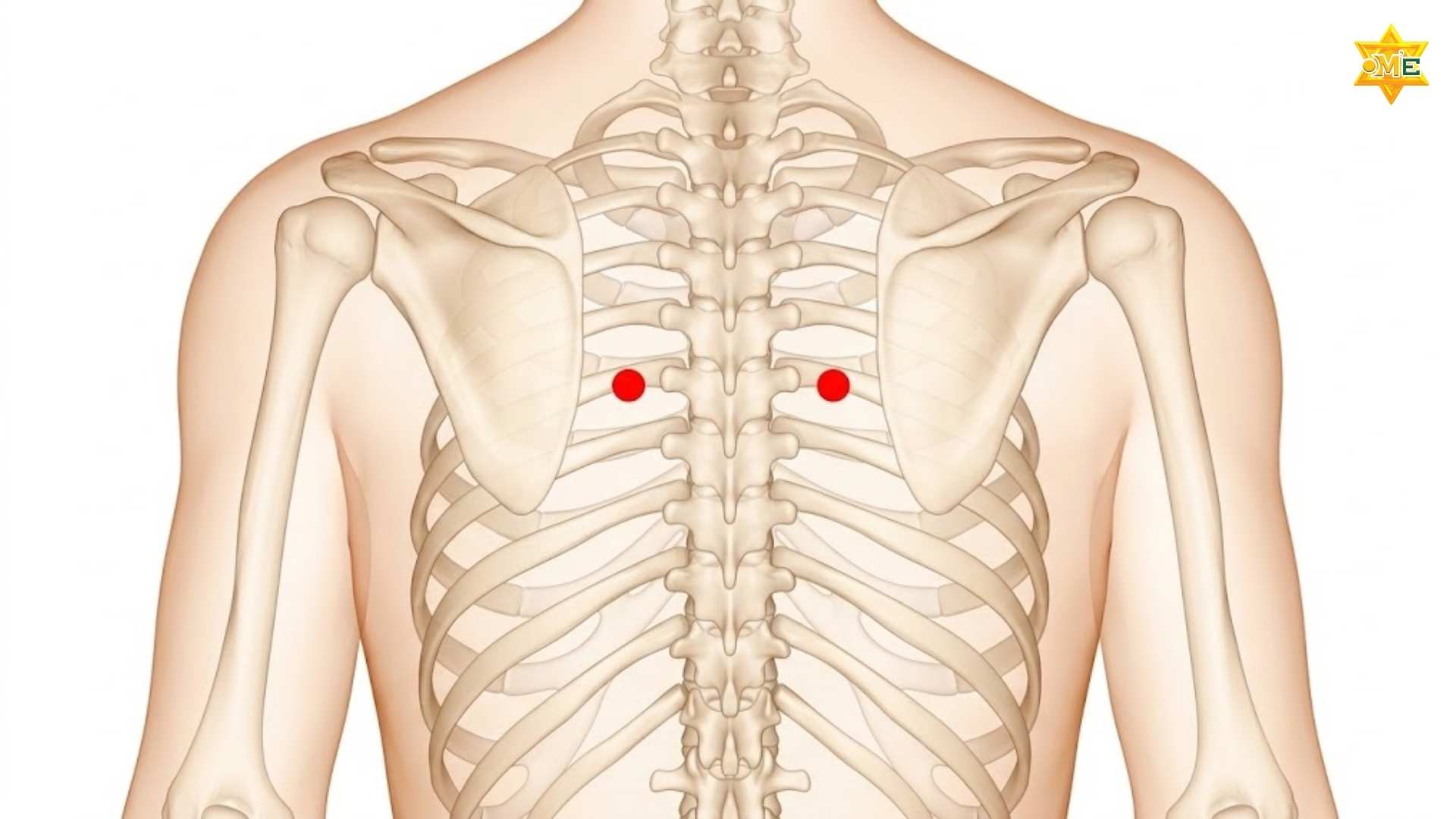 Cách xác định huyệt cao hoang chuẩn xác
